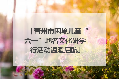 青州市困境儿童“六一”地名文化研学行活动温暖启航