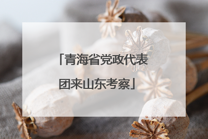 青海省党政代表团来山东考察