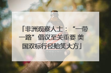 非洲观察人士：“一带一路”倡议至关重要 美国双标行径贻笑大方