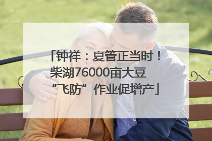 钟祥：夏管正当时！柴湖76000亩大豆“飞防”作业促增产