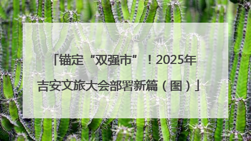 锚定“双强市”！2025年吉安文旅大会部署新篇（图）