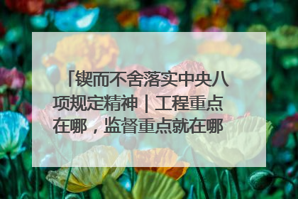 锲而不舍落实中央八项规定精神｜工程重点在哪，监督重点就在哪——广西深化政治监督护航平陆运河建设