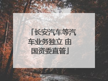 长安汽车等汽车业务独立 由国资委直管