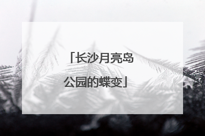 长沙月亮岛公园的蝶变