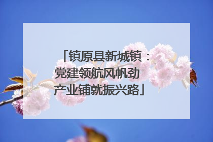 镇原县新城镇：党建领航风帆劲 产业铺就振兴路