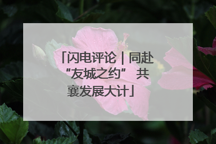 闪电评论｜同赴“友城之约” 共襄发展大计