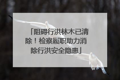阻碍行洪林木已清除！检察履职助力消除行洪安全隐患