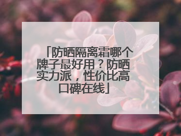 防晒隔离霜哪个牌子最好用？防晒实力派，性价比高口碑在线