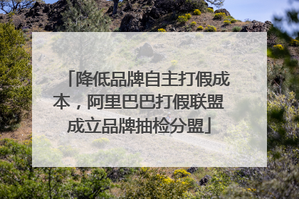 降低品牌自主打假成本，阿里巴巴打假联盟成立品牌抽检分盟