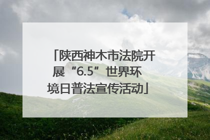 陕西神木市法院开展“6.5”世界环境日普法宣传活动