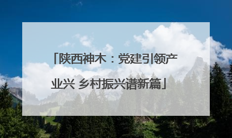 陕西神木：党建引领产业兴 乡村振兴谱新篇
