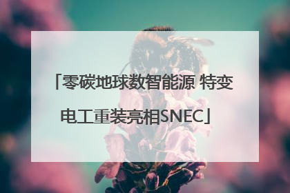 零碳地球数智能源 特变电工重装亮相SNEC