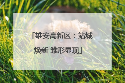 雄安高新区：站城焕新 雏形显现