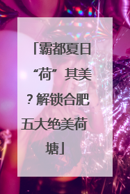 霸都夏日“荷”其美？解锁合肥五大绝美荷塘
