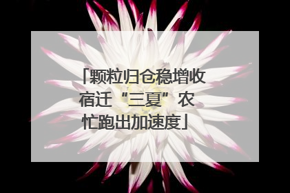 颗粒归仓稳增收 宿迁“三夏”农忙跑出加速度