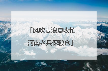 风吹麦浪夏收忙 河南老兵保粮仓