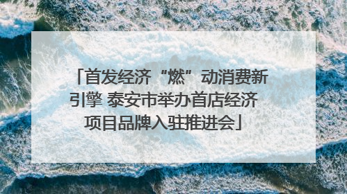 首发经济“燃”动消费新引擎 泰安市举办首店经济项目品牌入驻推进会