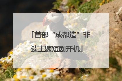 首部“成都造”非遗主题短剧开机