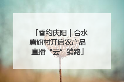香约庆阳｜合水唐旗村开启农产品直播“云”销路