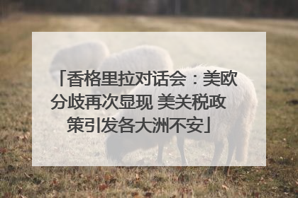 香格里拉对话会：美欧分歧再次显现 美关税政策引发各大洲不安