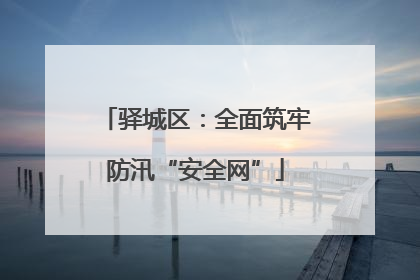 驿城区：全面筑牢防汛“安全网”