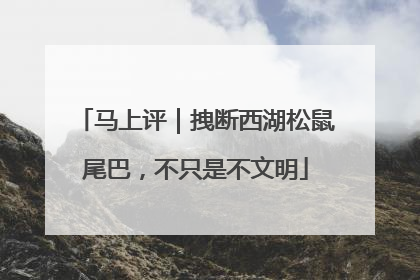 马上评｜拽断西湖松鼠尾巴，不只是不文明
