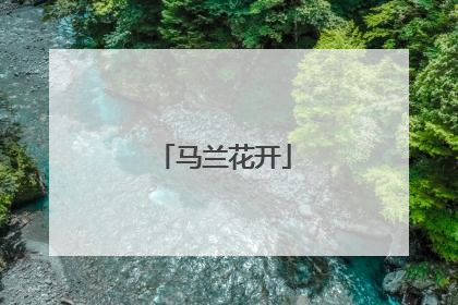 马兰花开