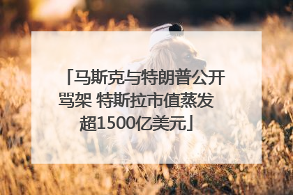 马斯克与特朗普公开骂架 特斯拉市值蒸发超1500亿美元