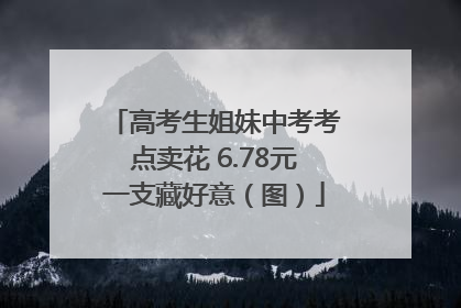 高考生姐妹中考考点卖花 6.78元一支藏好意（图）