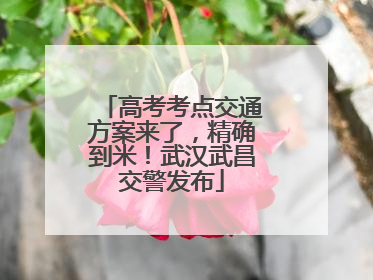 高考考点交通方案来了，精确到米！武汉武昌交警发布