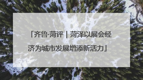 齐鲁·菏评｜菏泽以展会经济为城市发展增添新活力