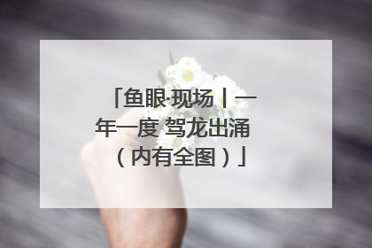 鱼眼·现场丨一年一度 驾龙出涌（内有全图）