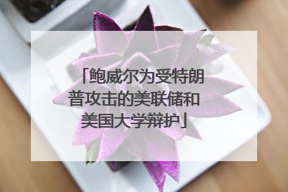 鲍威尔为受特朗普攻击的美联储和美国大学辩护
