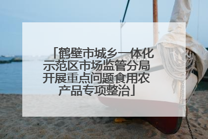 鹤壁市城乡一体化示范区市场监管分局开展重点问题食用农产品专项整治