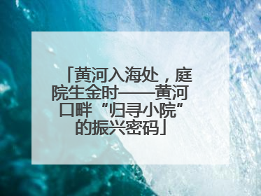 黄河入海处，庭院生金时——黄河口畔“归寻小院”的振兴密码