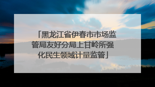 黑龙江省伊春市市场监管局友好分局上甘岭所强化民生领域计量监管