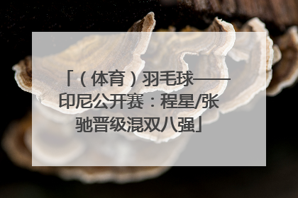 （体育）羽毛球——印尼公开赛：程星/张驰晋级混双八强