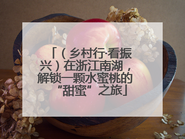 （乡村行·看振兴）在浙江南湖，解锁一颗水蜜桃的“甜蜜”之旅