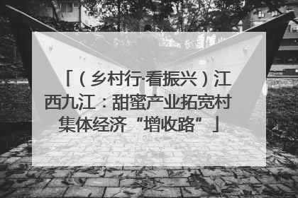 （乡村行·看振兴）江西九江：甜蜜产业拓宽村集体经济“增收路”
