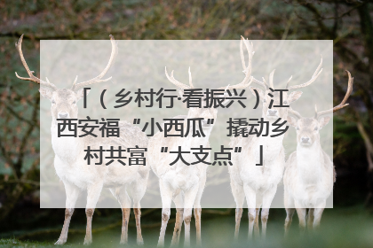 （乡村行·看振兴）江西安福“小西瓜”撬动乡村共富“大支点”