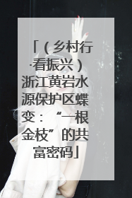 （乡村行·看振兴）浙江黄岩水源保护区蝶变：“一根金枝”的共富密码