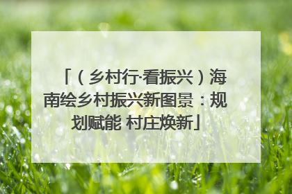 （乡村行·看振兴）海南绘乡村振兴新图景：规划赋能 村庄焕新