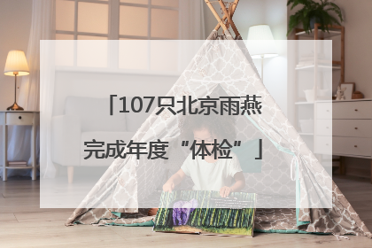 107只北京雨燕完成年度“体检”