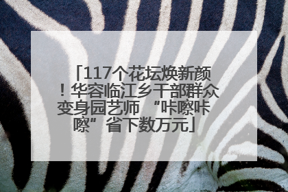117个花坛焕新颜！华容临江乡干部群众变身园艺师 “咔嚓咔嚓”省下数万元