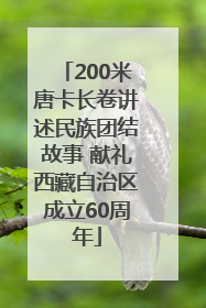 200米唐卡长卷讲述民族团结故事 献礼西藏自治区成立60周年