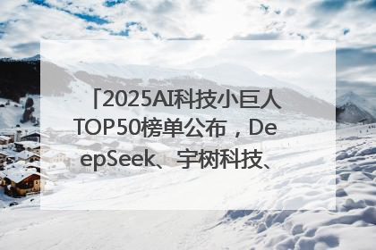 2025AI科技小巨人TOP50榜单公布，DeepSeek、宇树科技、蘑菇车联等企业荣誉上榜