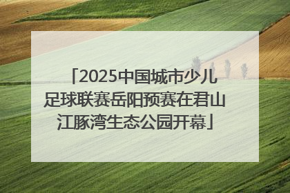 2025中国城市少儿足球联赛岳阳预赛在君山江豚湾生态公园开幕