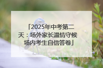 2025年中考第二天：场外家长温情守候 场内考生自信答卷