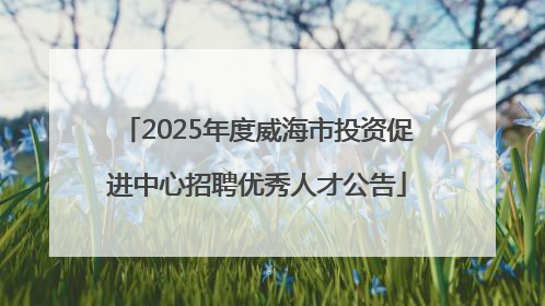 2025年度威海市投资促进中心招聘优秀人才公告