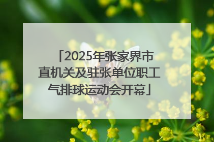2025年张家界市直机关及驻张单位职工气排球运动会开幕